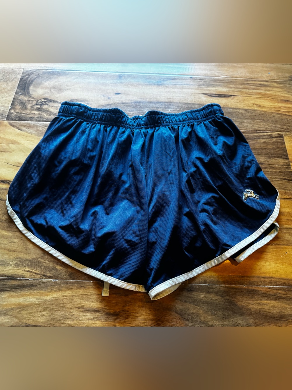 Tracksmith Navy Shorts with Gray Liner